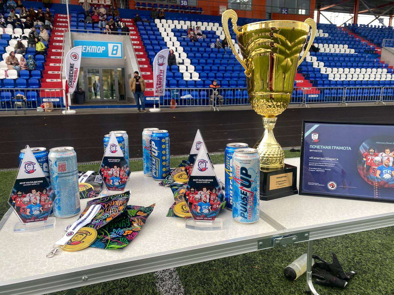 Сезон американского футбола завершён!